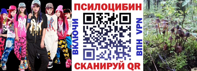 Псилоцибиновые грибы ЛСД  кракен маркетплейс  Семикаракорск  наркота 